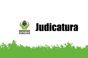 B.F.Judicatura